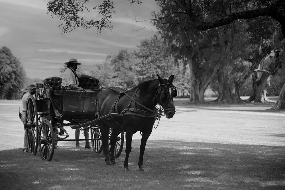 La Bamba De Areco, San Antonio de Areco