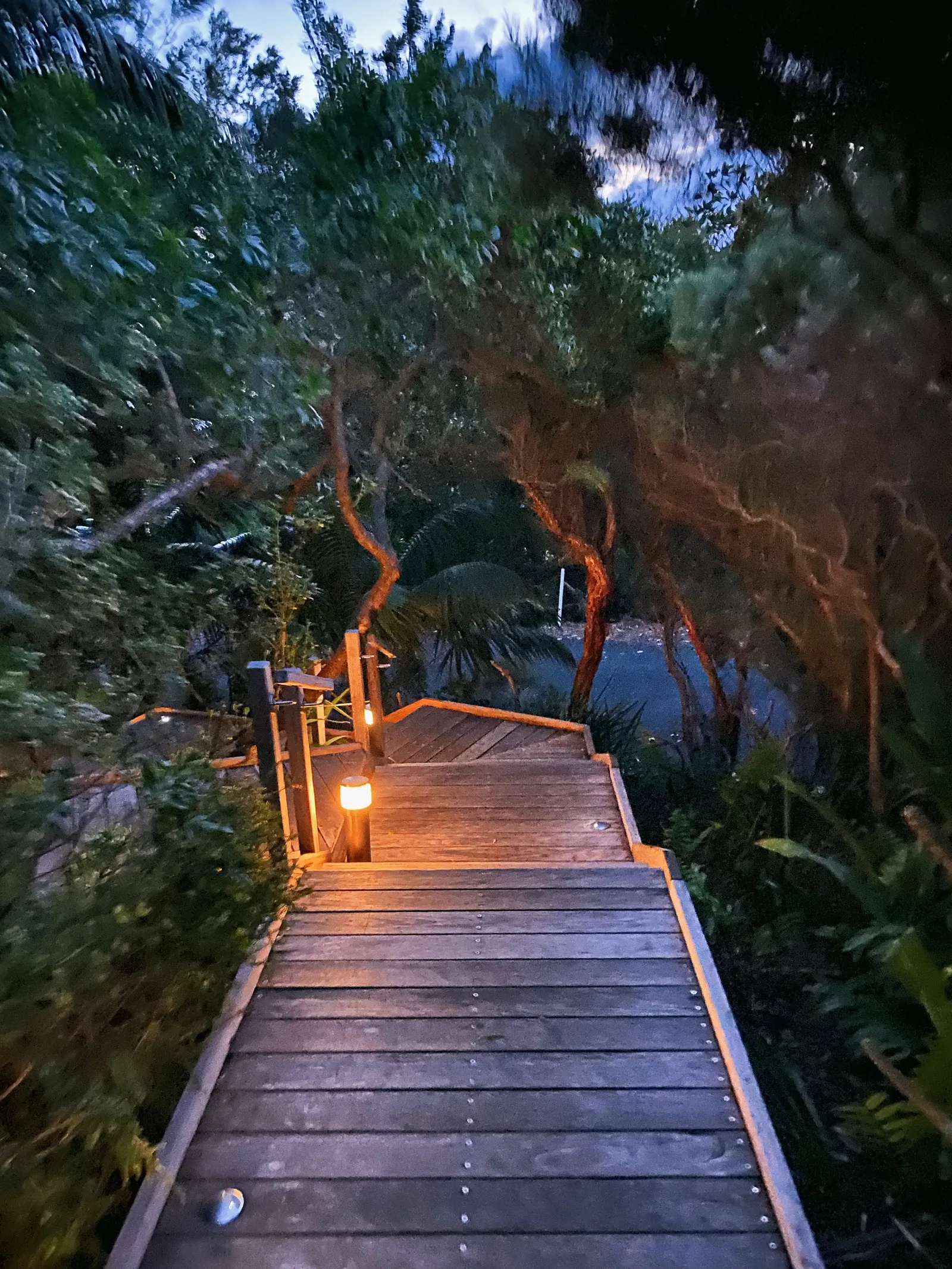 Capella Lodge — Exterior, Lord Howe Island