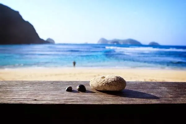 Capella Lodge — At a glance, Lord Howe Island