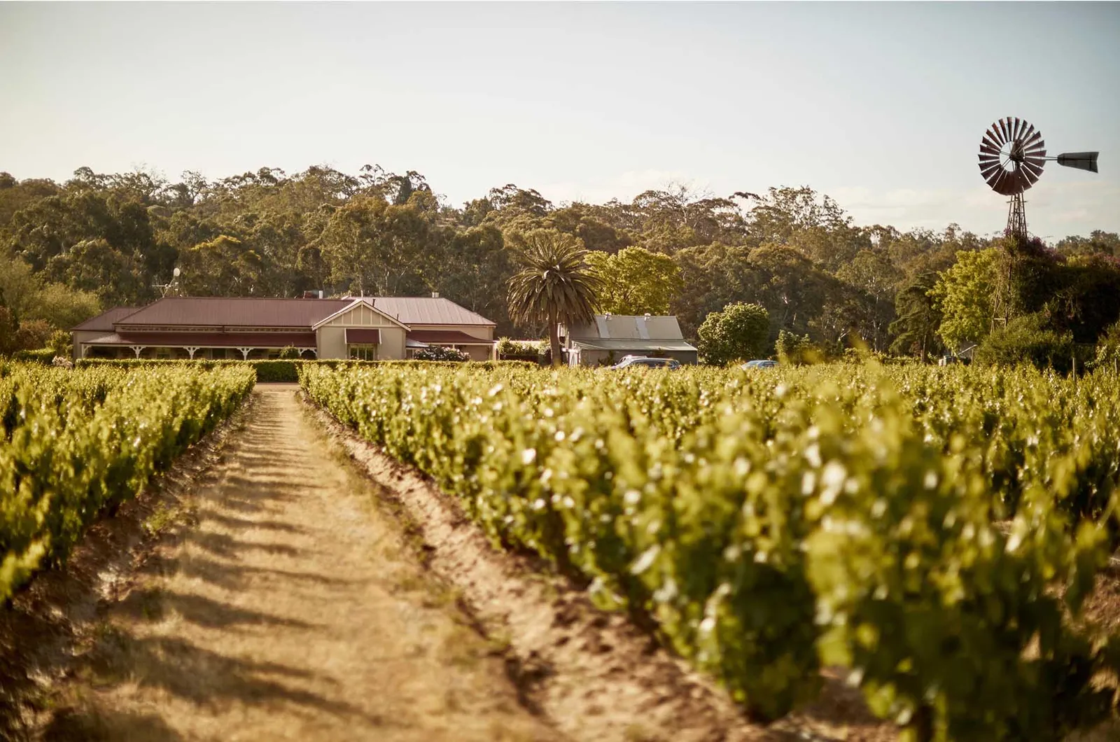 Le Mas Barossa, Tanunda