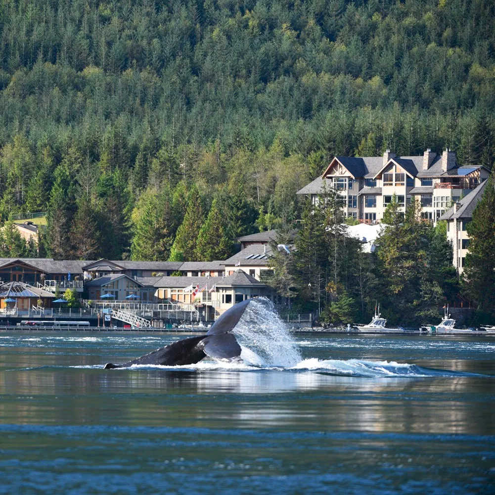 Sonora Resort, Campbell River