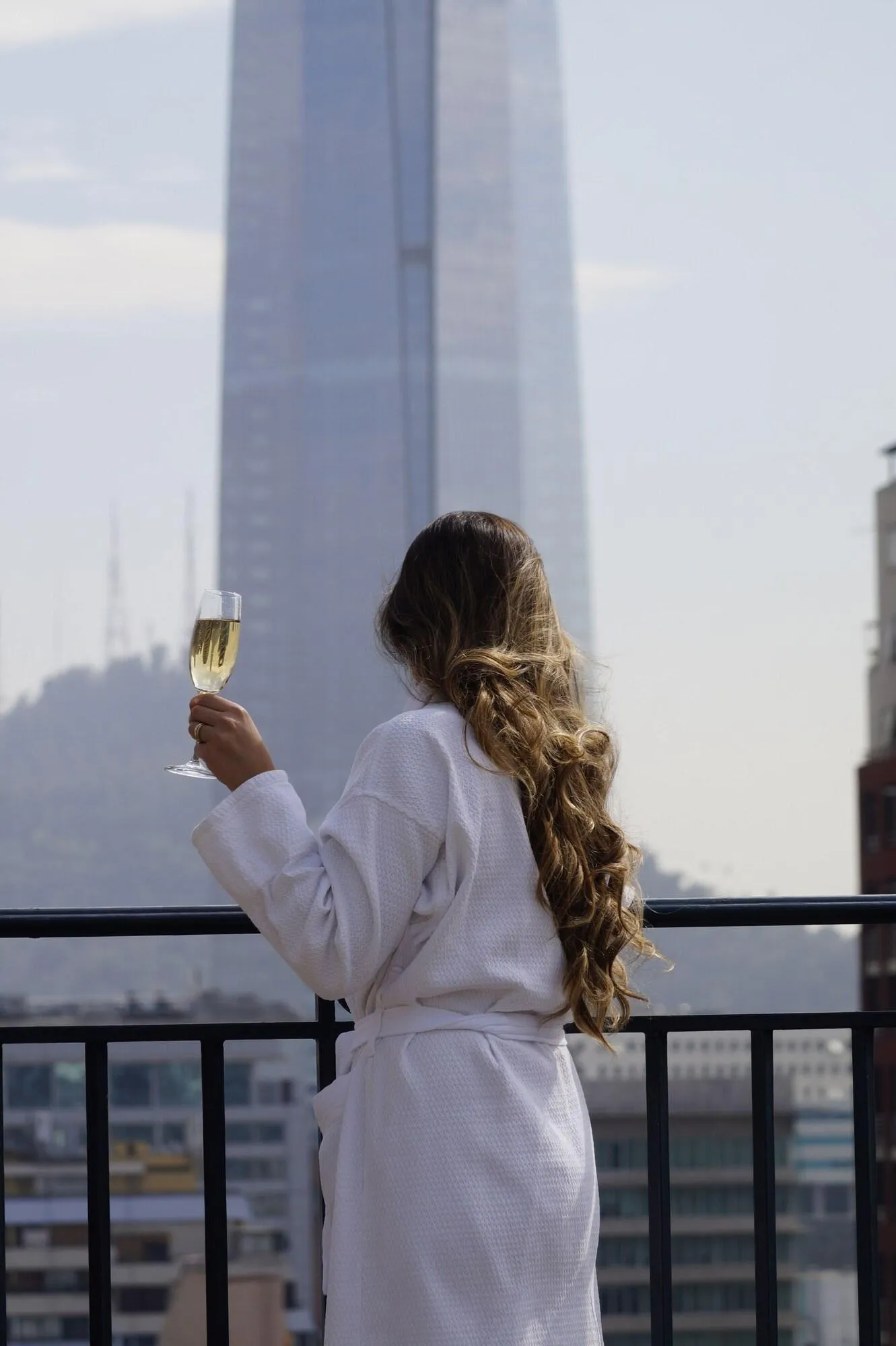 The Ritz-Carlton, Santiago — Exterior, Santiago