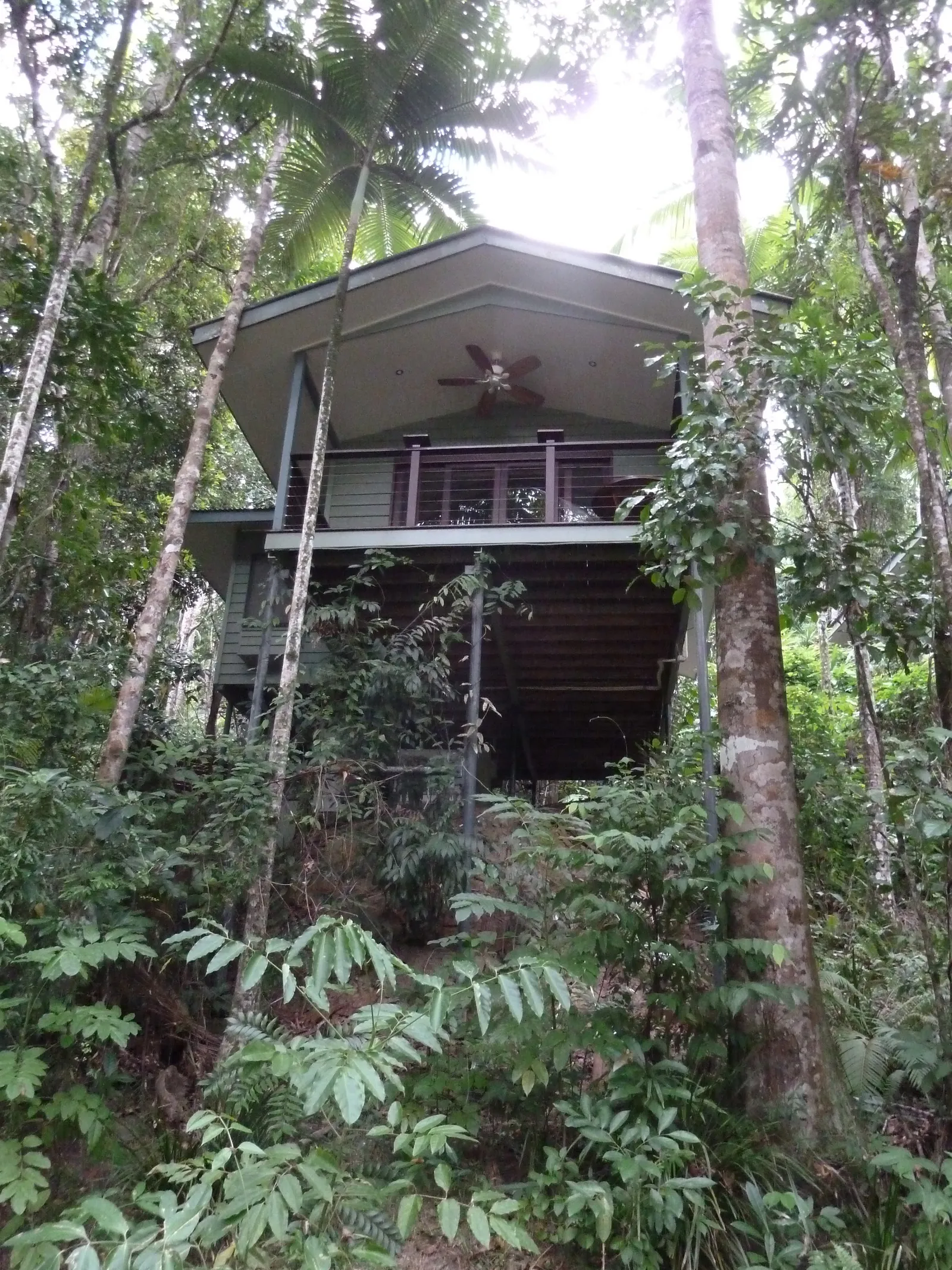 Silky Oaks Lodge — Exterior, Finlayvale