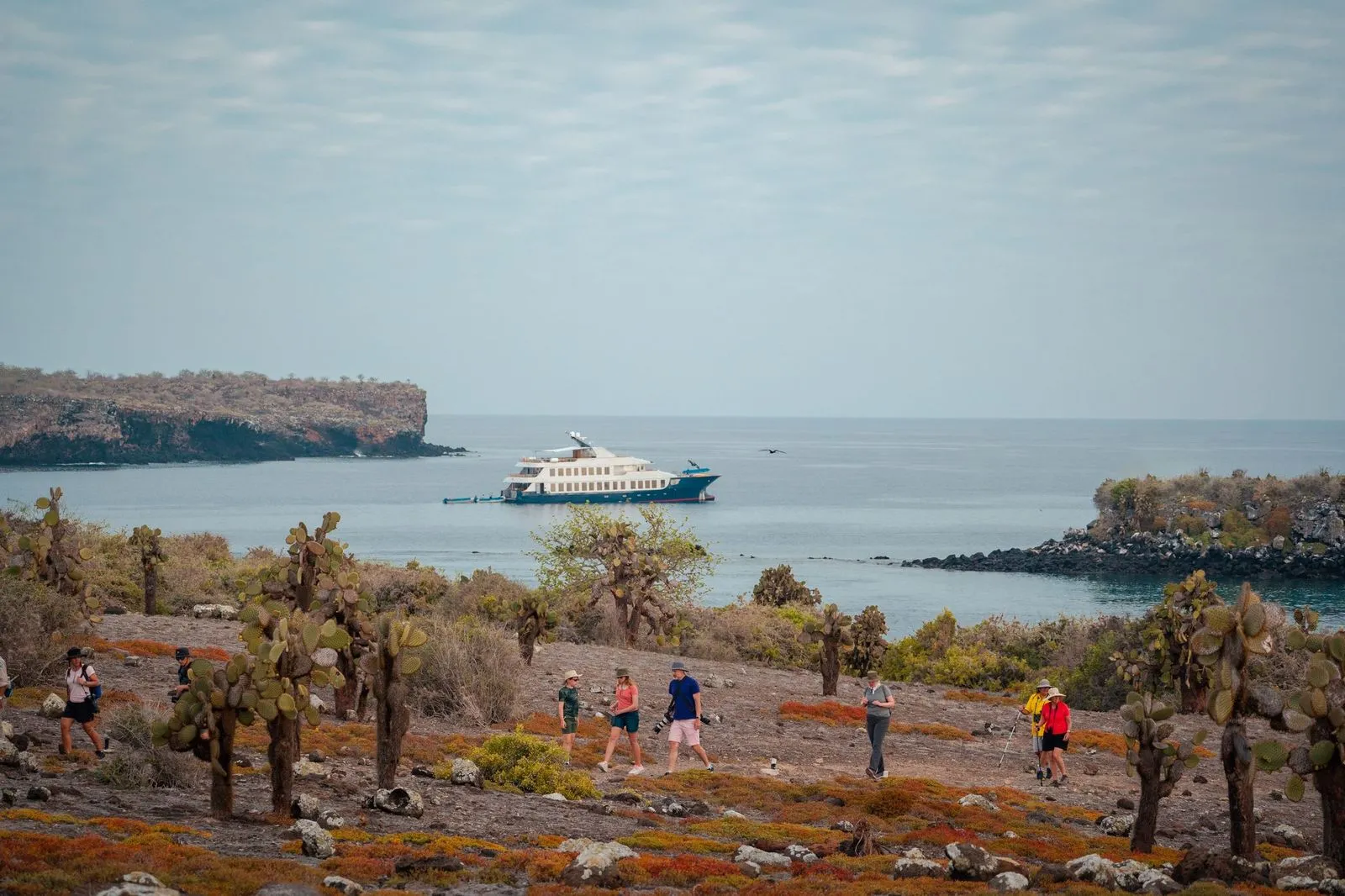 Ecoventura Galapagos, Puerto Ayora