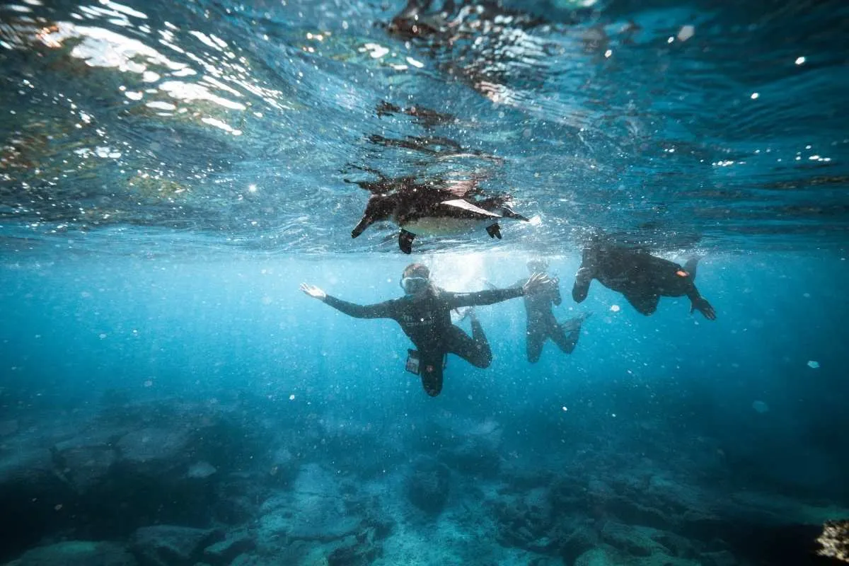 Ecoventura Galapagos, Puerto Ayora