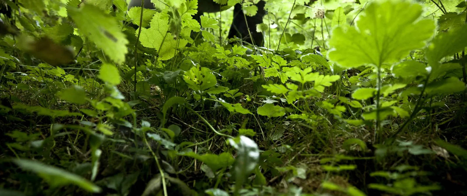 Hotel Restaurant Le Pre, Fontjoncouse