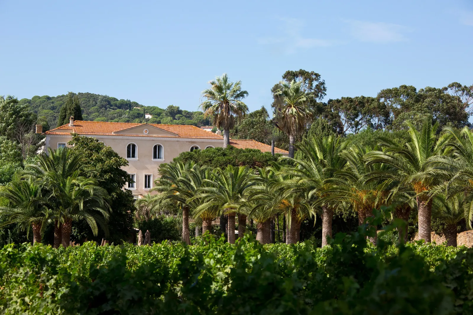 Chateau De Valmer, La Croix-Valmer