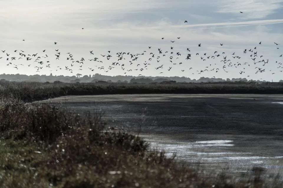 La Marine Noirmoutier, Noirmoutier-en-l'Île