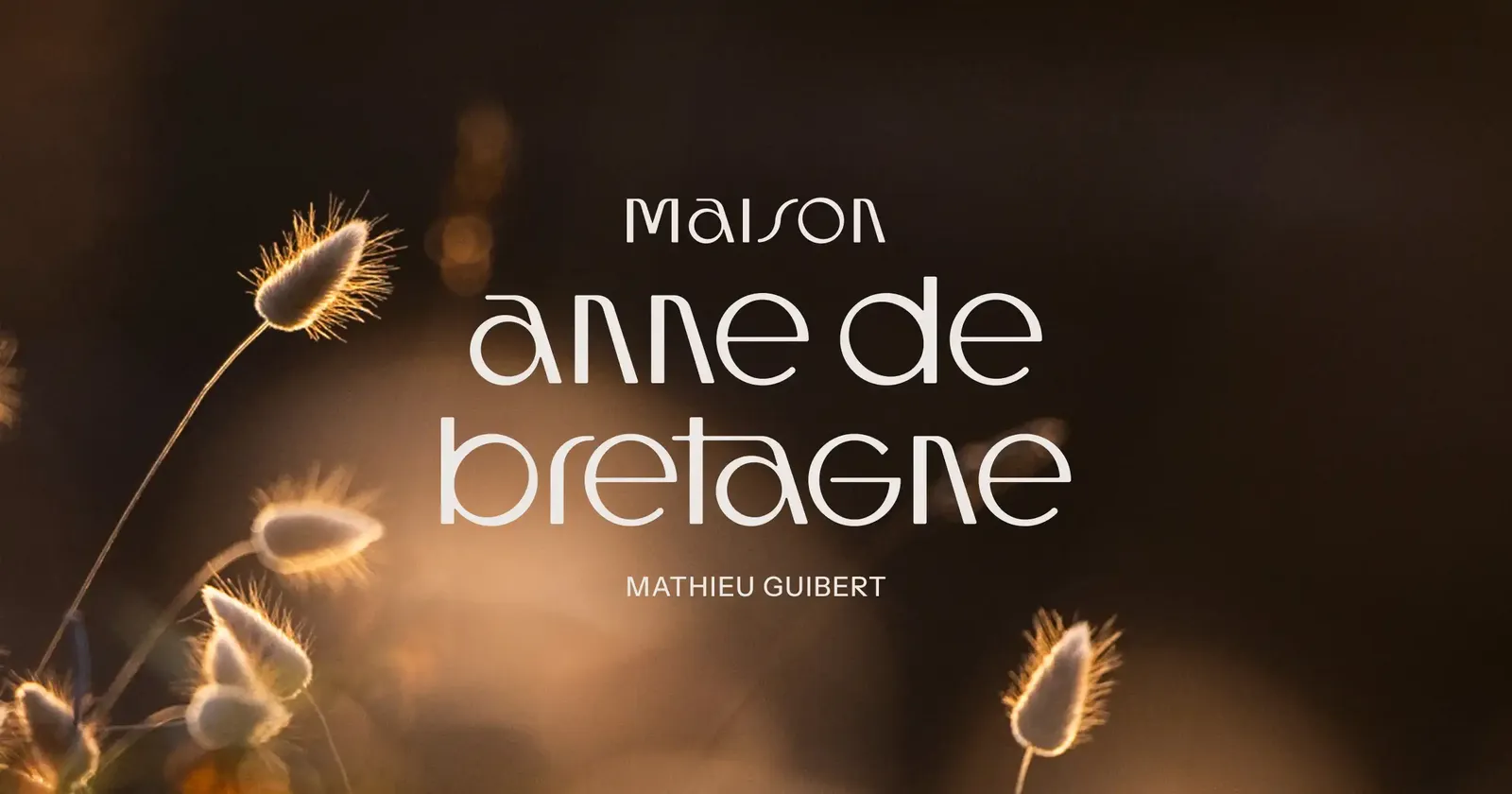 Anne De Bretagne, Quimper