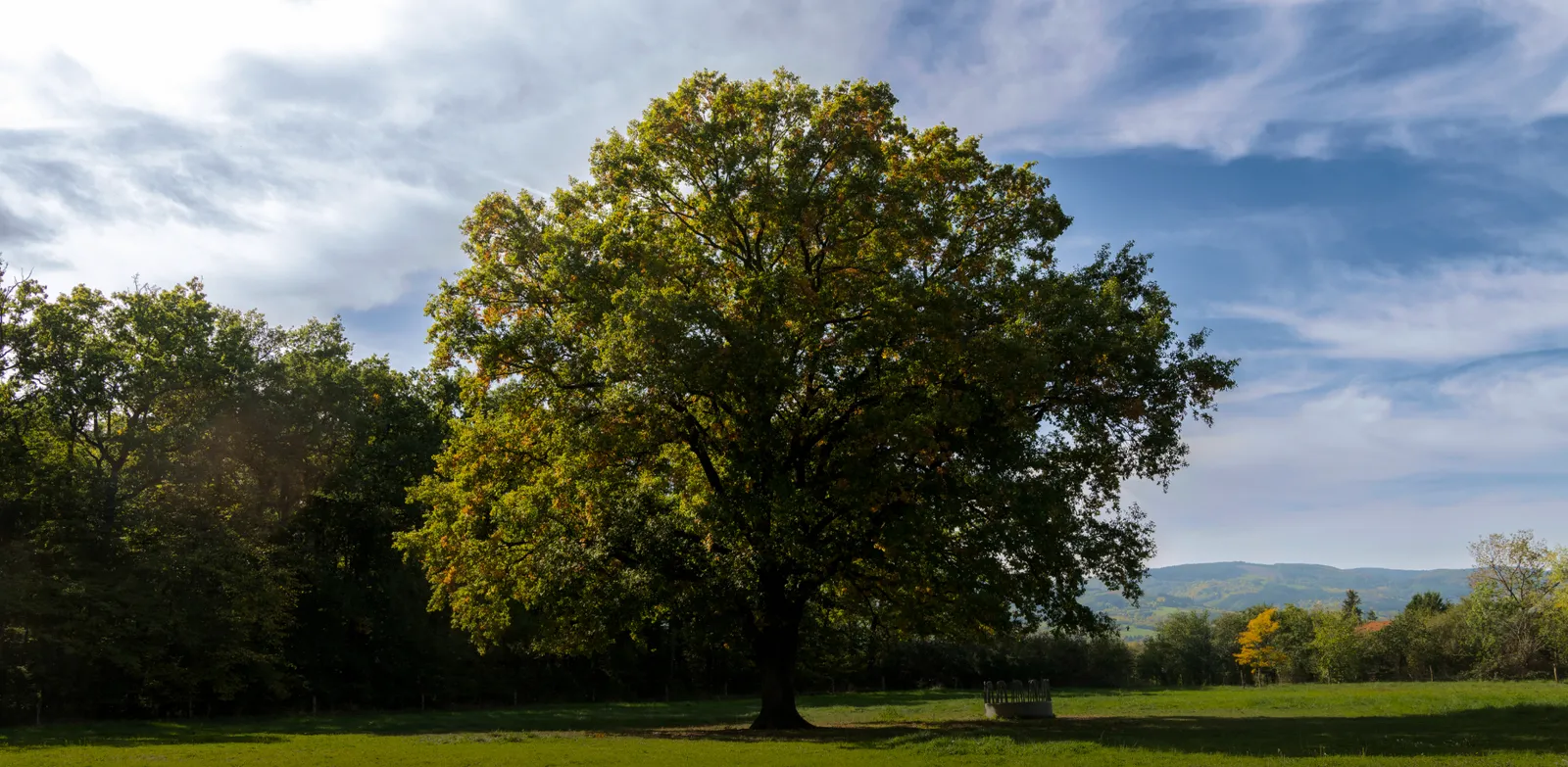 Troisgros, Roanne