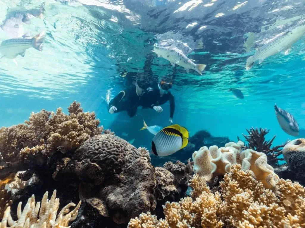 Daydream Island Resort and Living Reef, Whitsundays