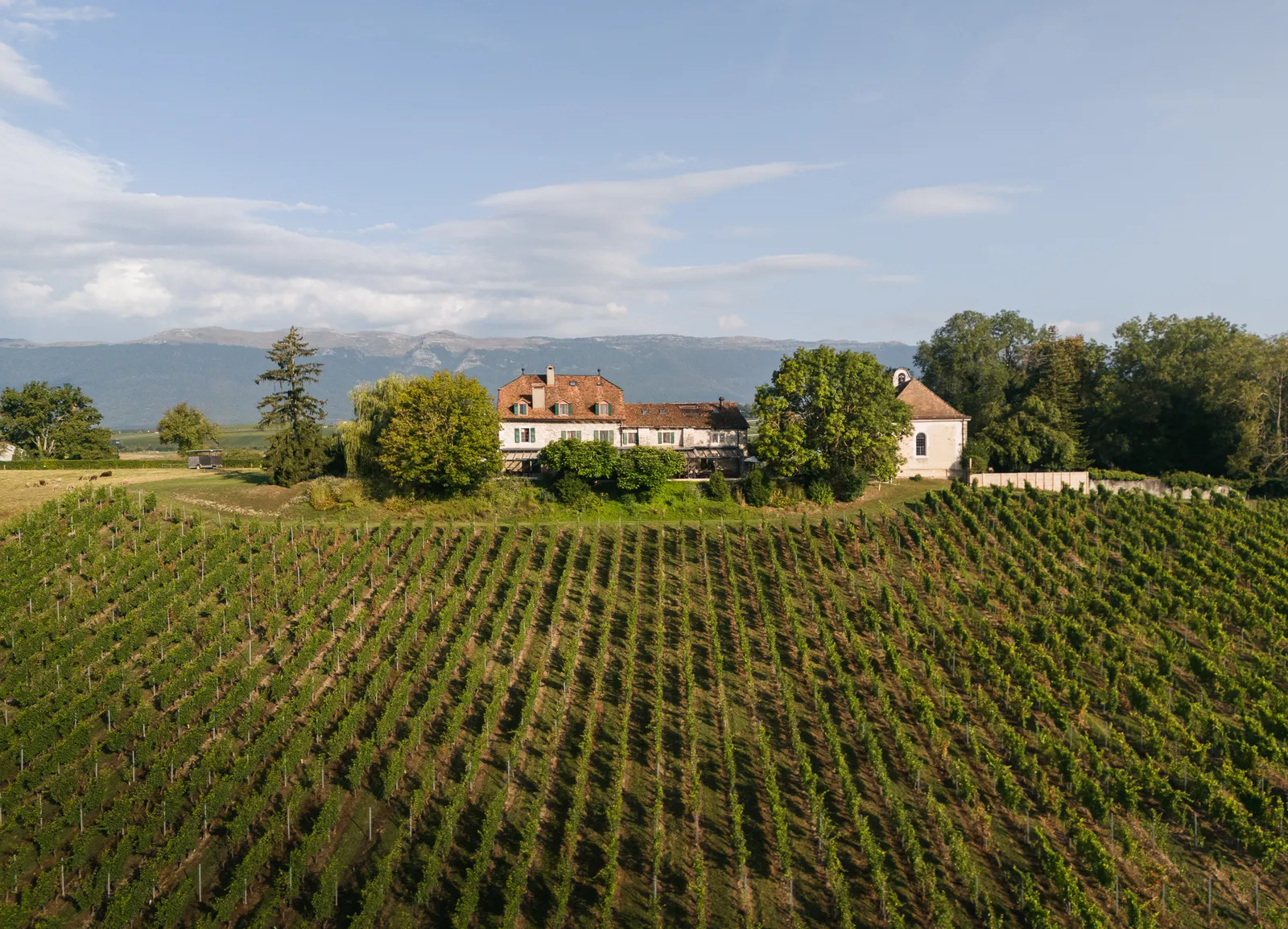 Domaine De Chateauvieux, Vernouillet