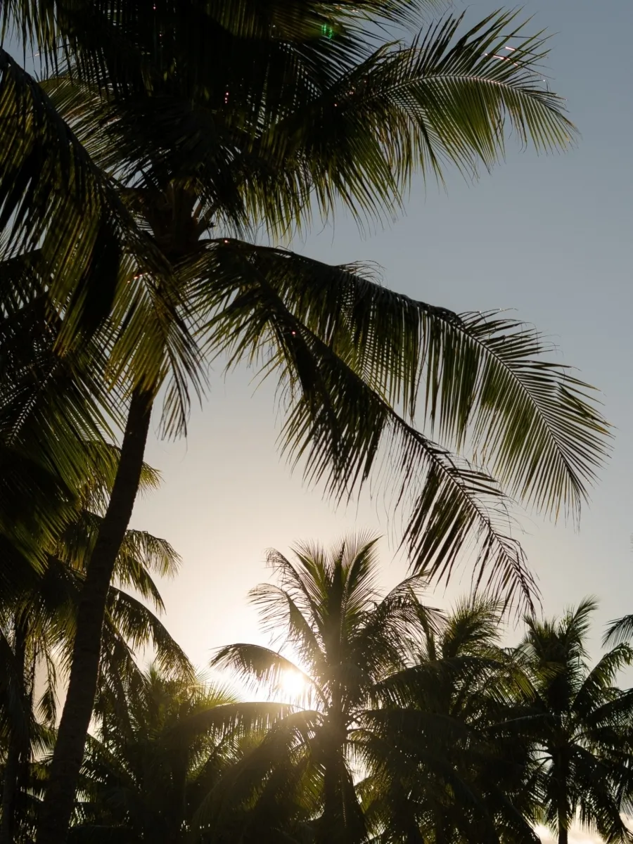 Vahine Private Island, Taha'a