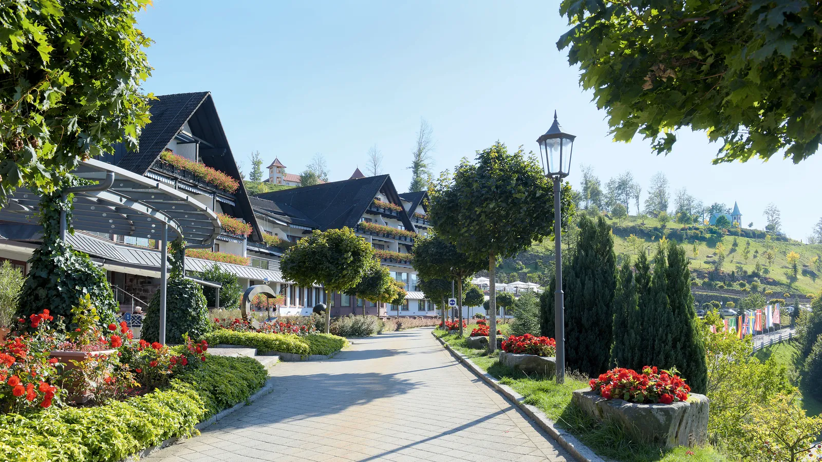 Hotel Dollenberg, Bad Peterstal-Griesbach