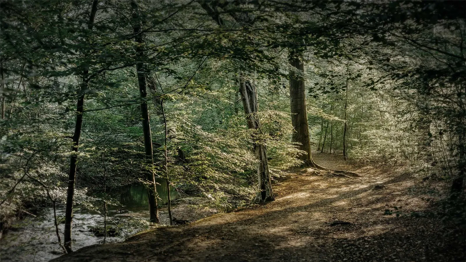 Diepeschrather Muhle, Bergisch Gladbach