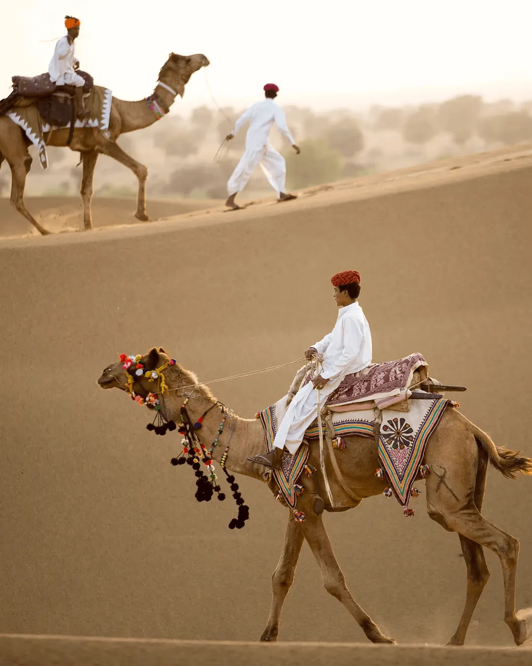 Sujan The Serai Jaisalmer, Jaisalmer