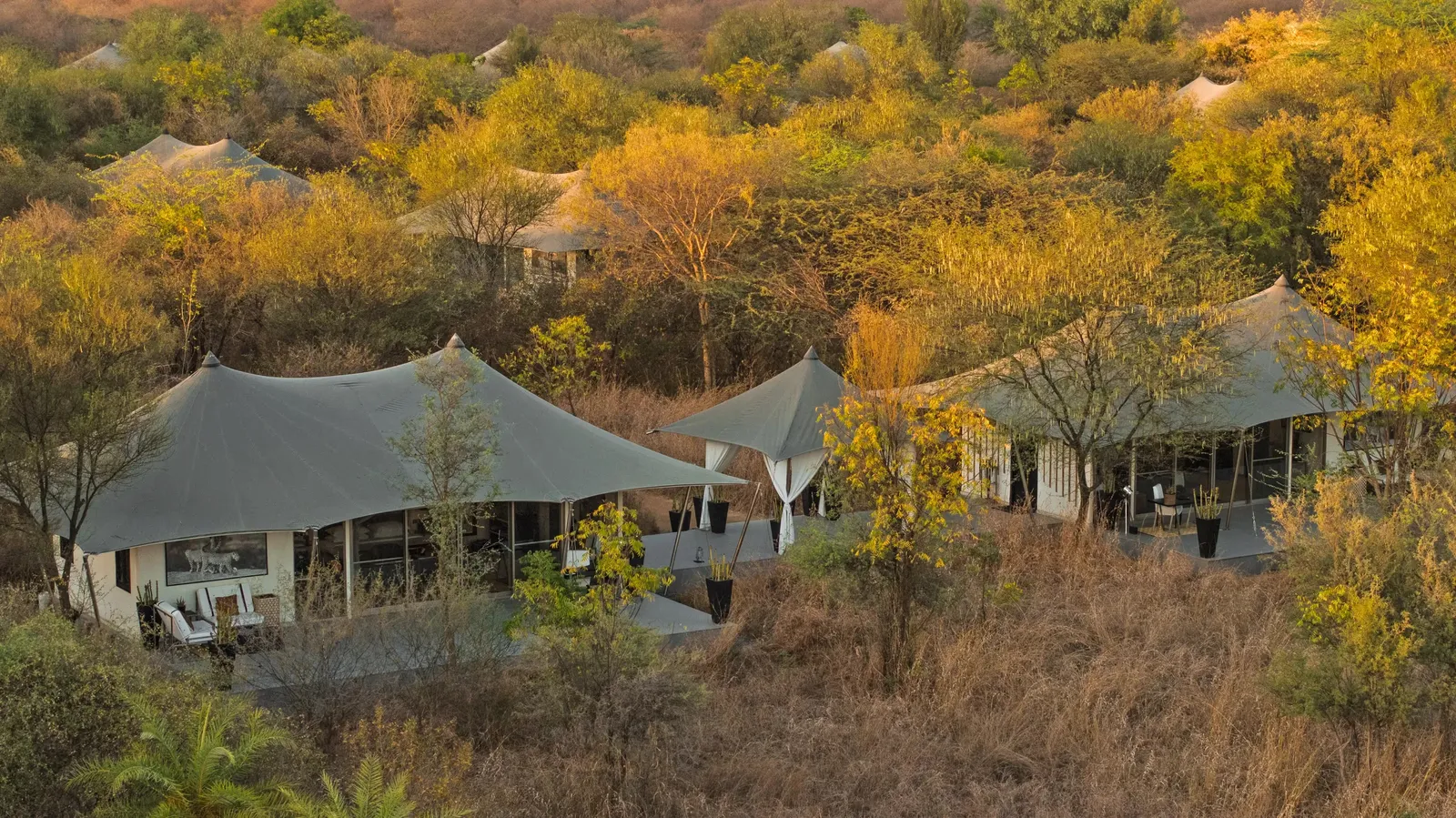 Sujan Jawai, Pali