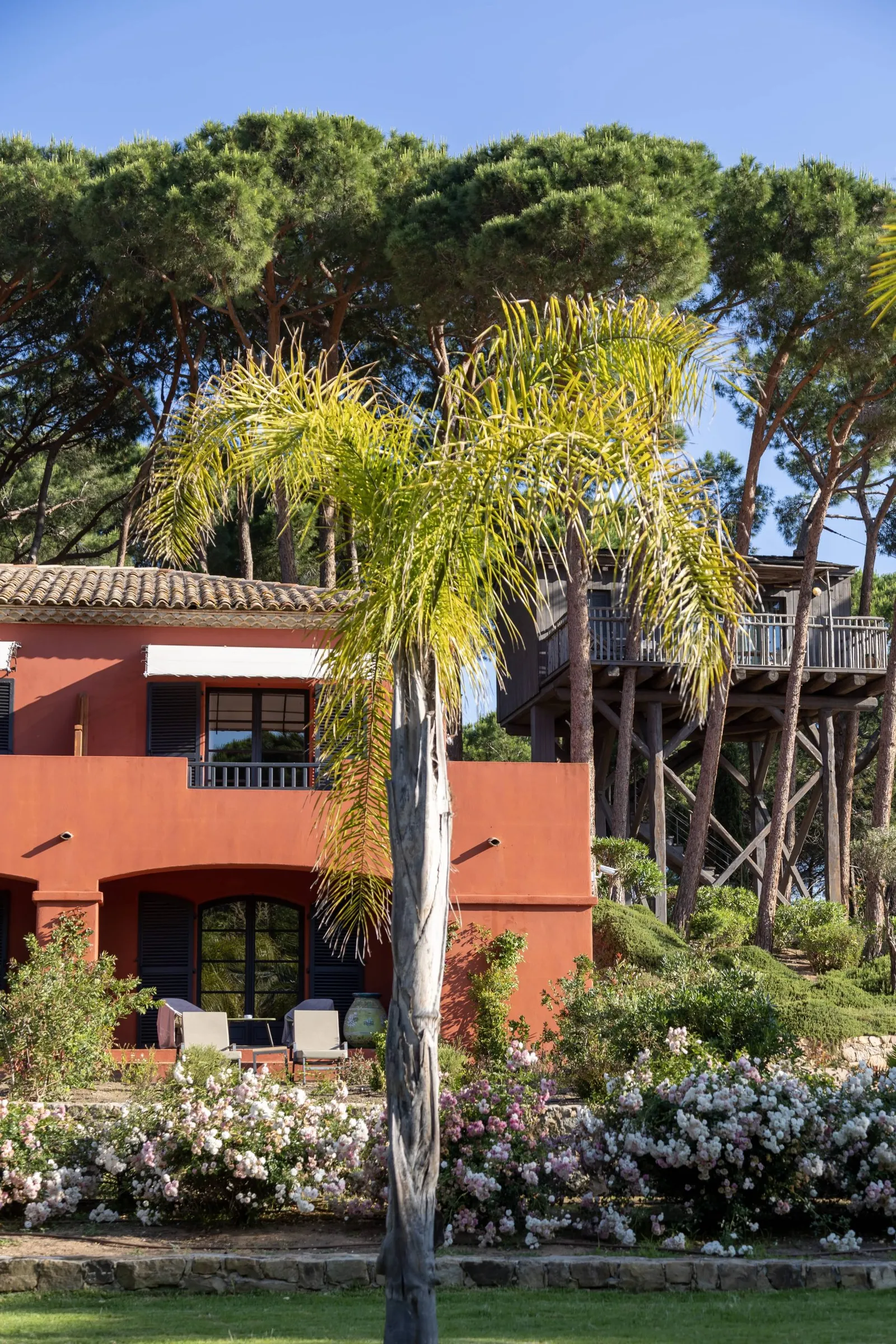 La Signoria Spa, Calvi