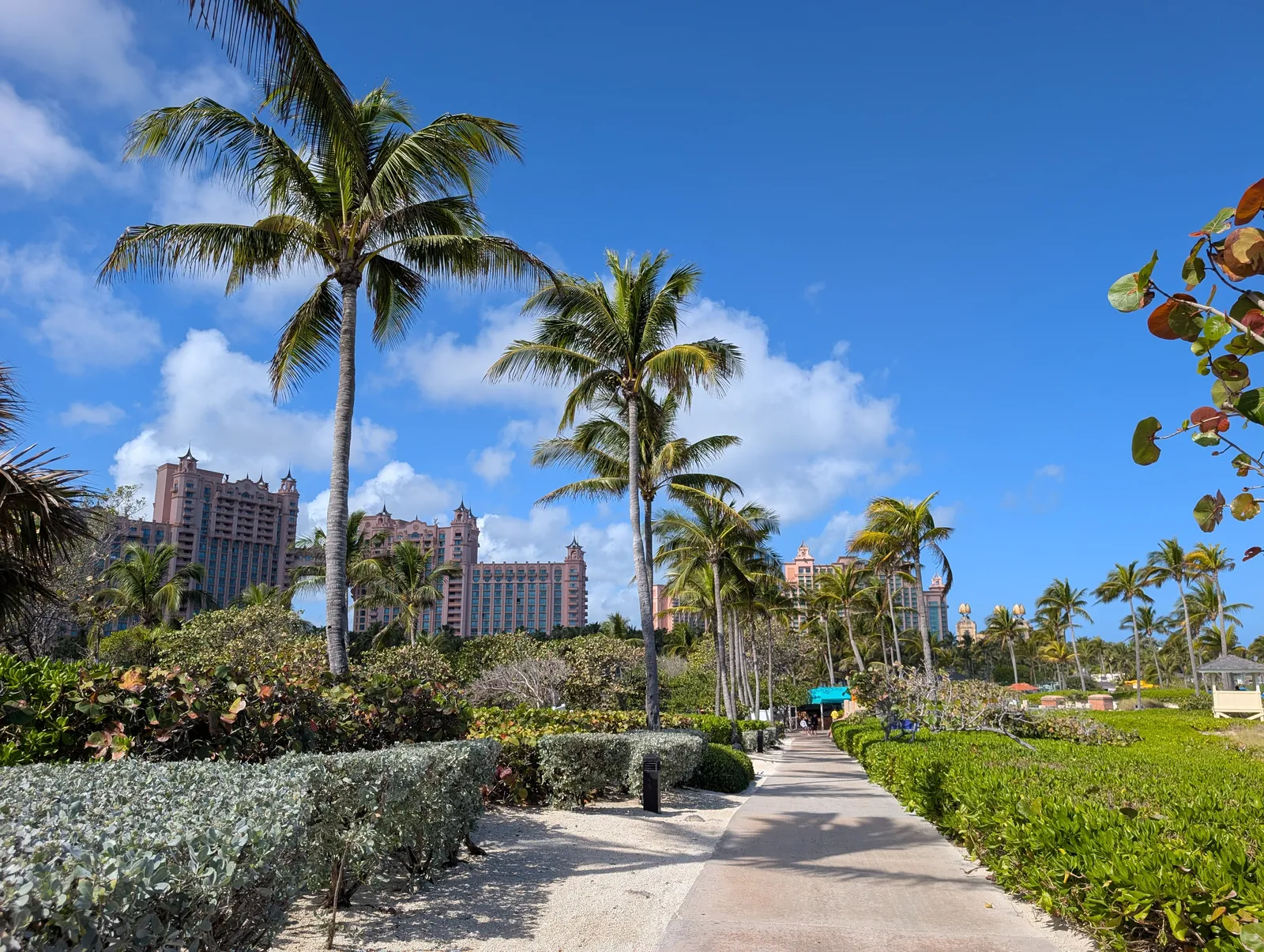 The Coral at Atlantis — Exterior, Paradise Island