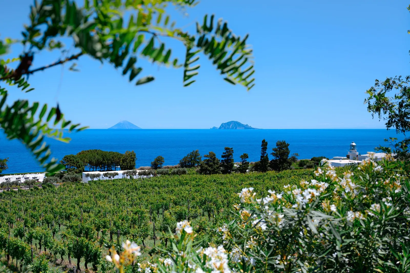 Capofaro Resort, Malfa