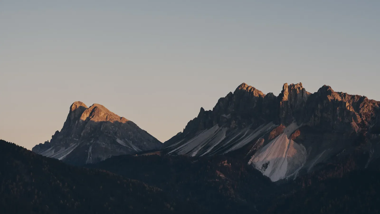 Forestis, Nova Levante