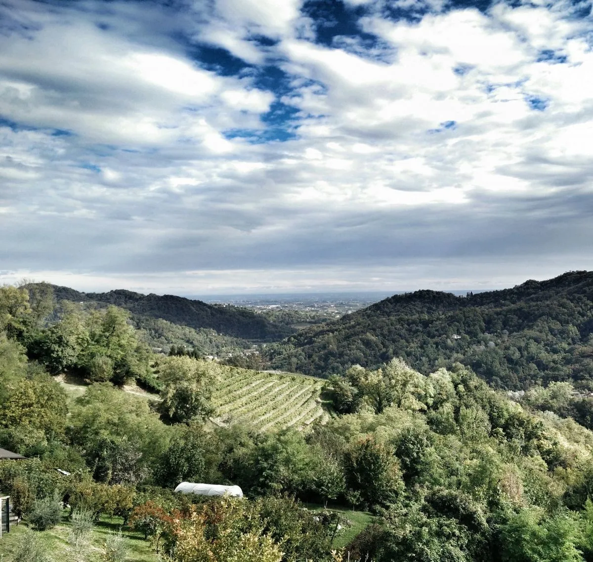 Villa Abbazia, Siena