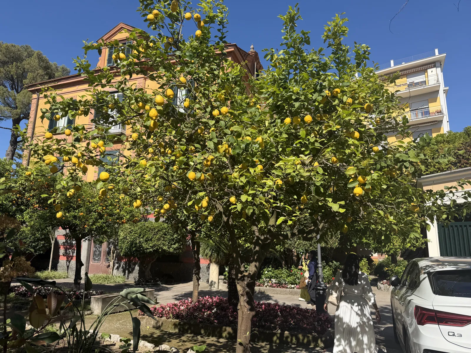 Grand Hotel Bristol Spa Resort — Exterior, Sorrento