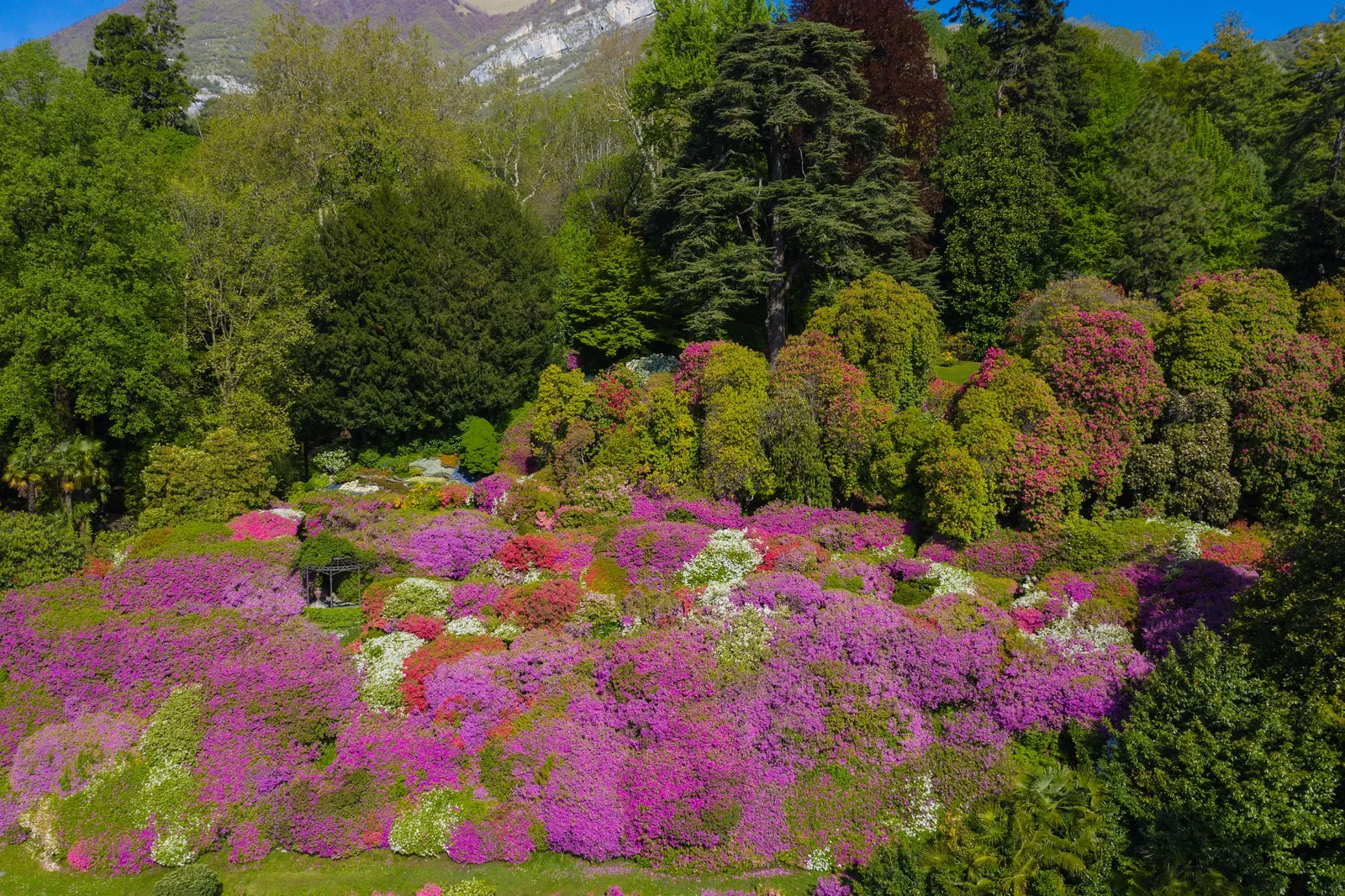 Villa Carlotta, Tremezzo