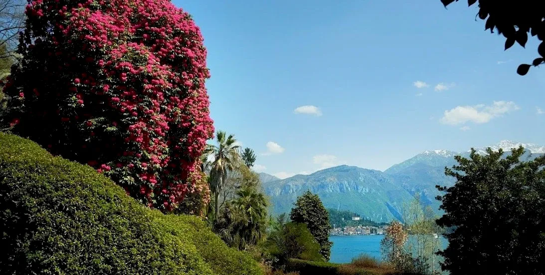 Villa Carlotta, Tremezzo