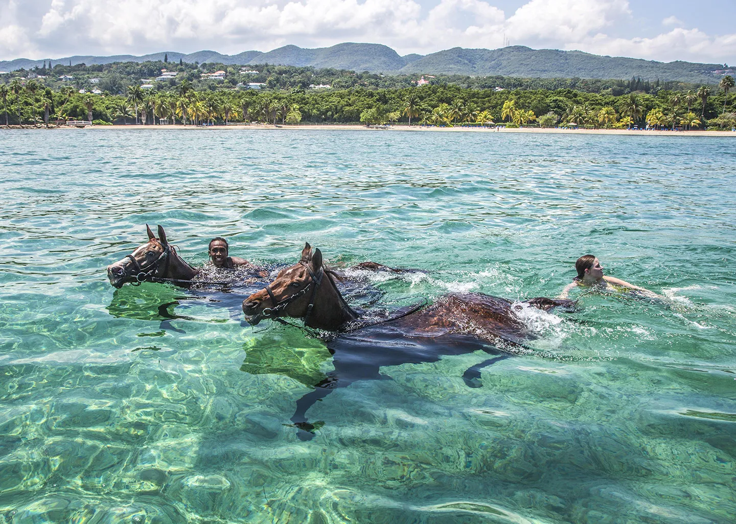 Half Moon, Montego Bay