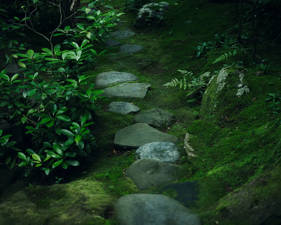 Beniya Mukayu, Kaga