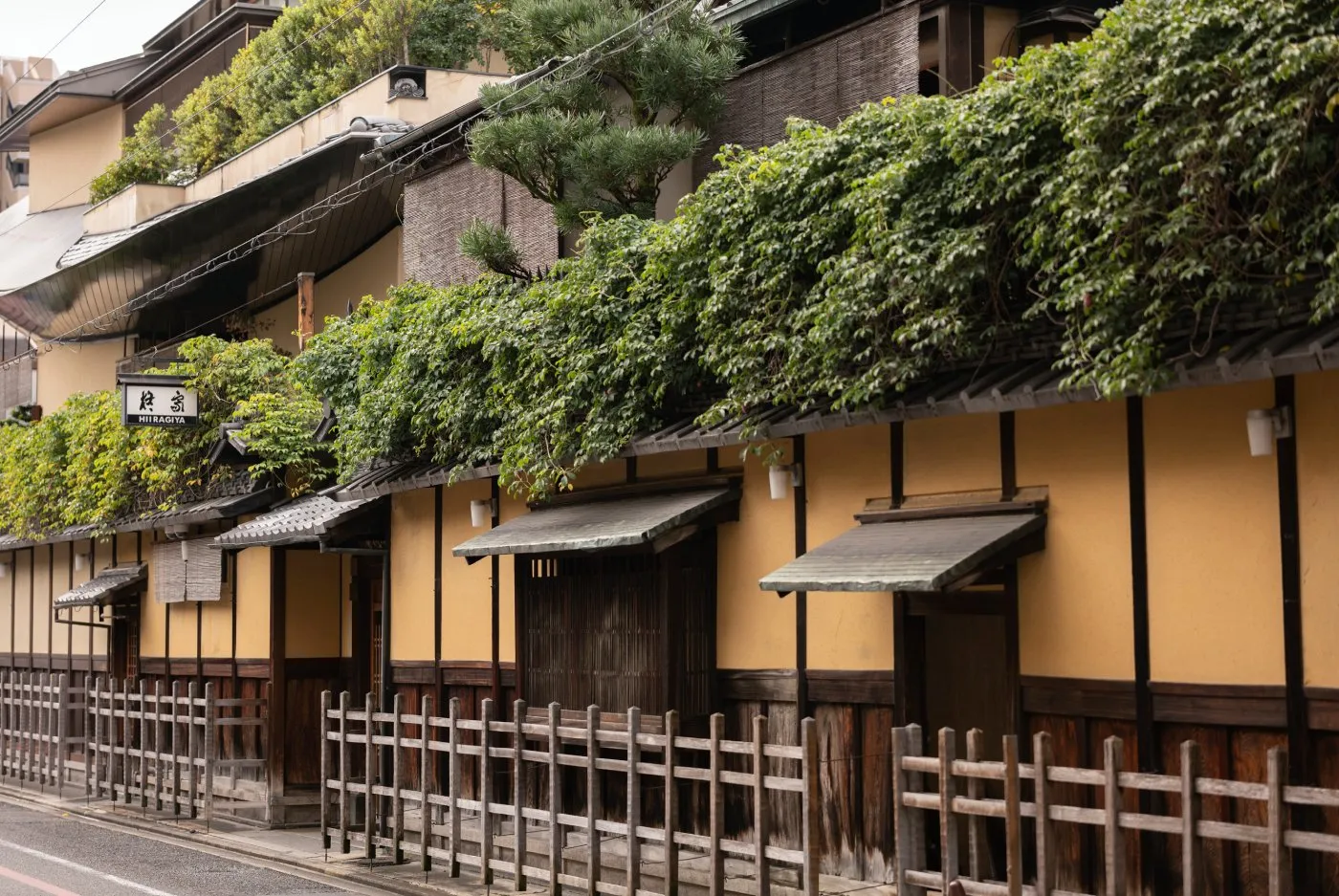 Hiiragiya, Kyoto