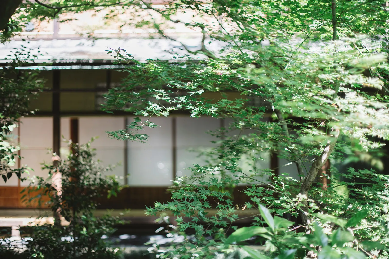 Sowaka Kyoto, Kyoto