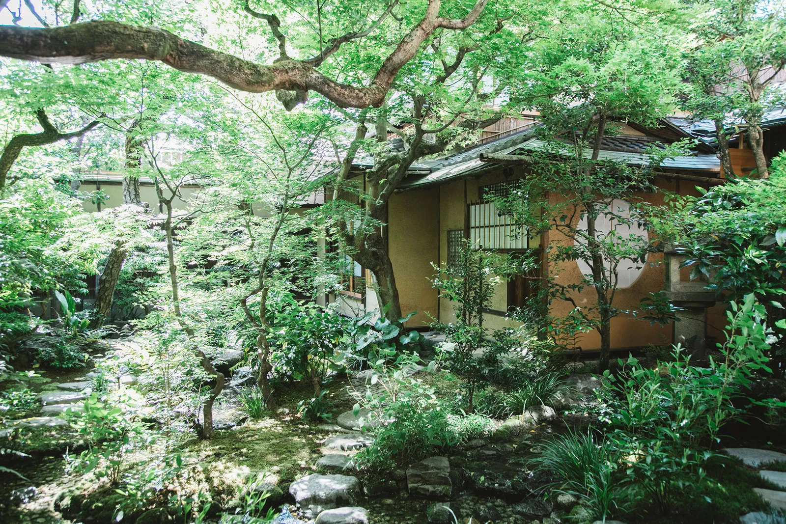 Sowaka Kyoto, Kyoto