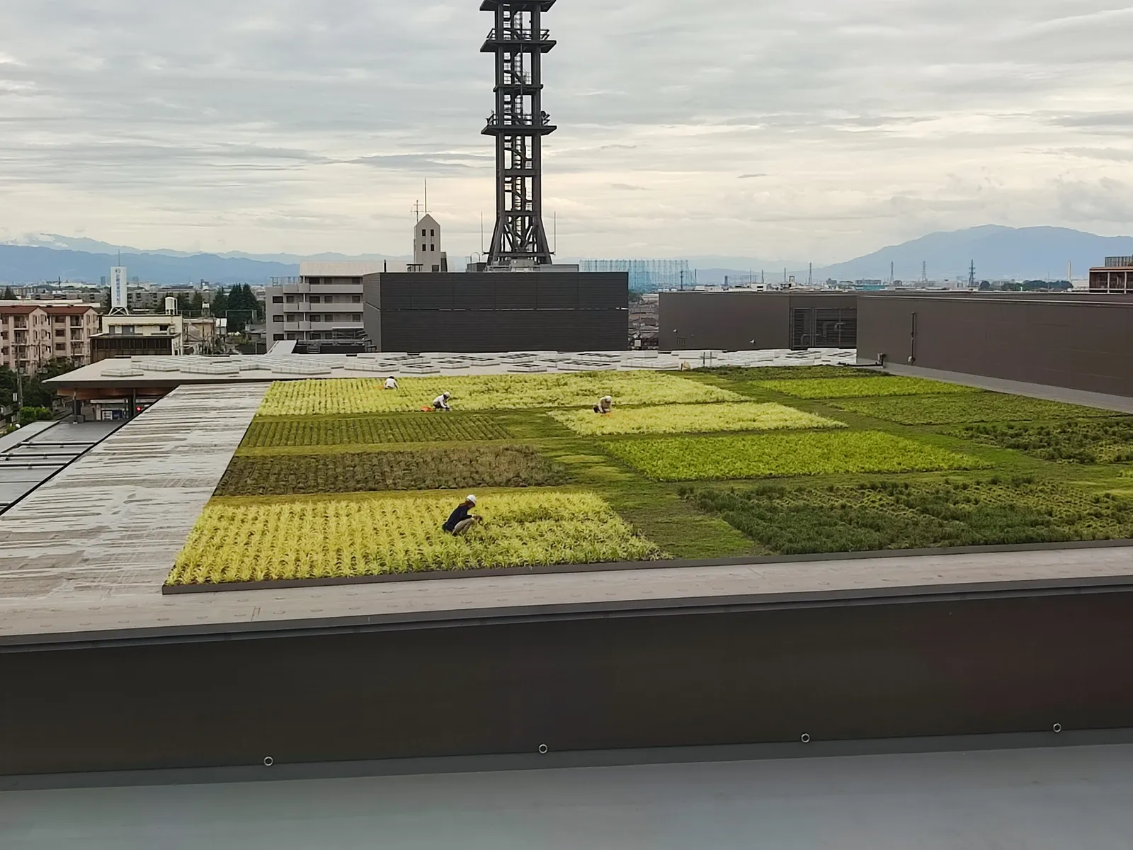 JW Marriott Hotel Nara — Exterior, Nara