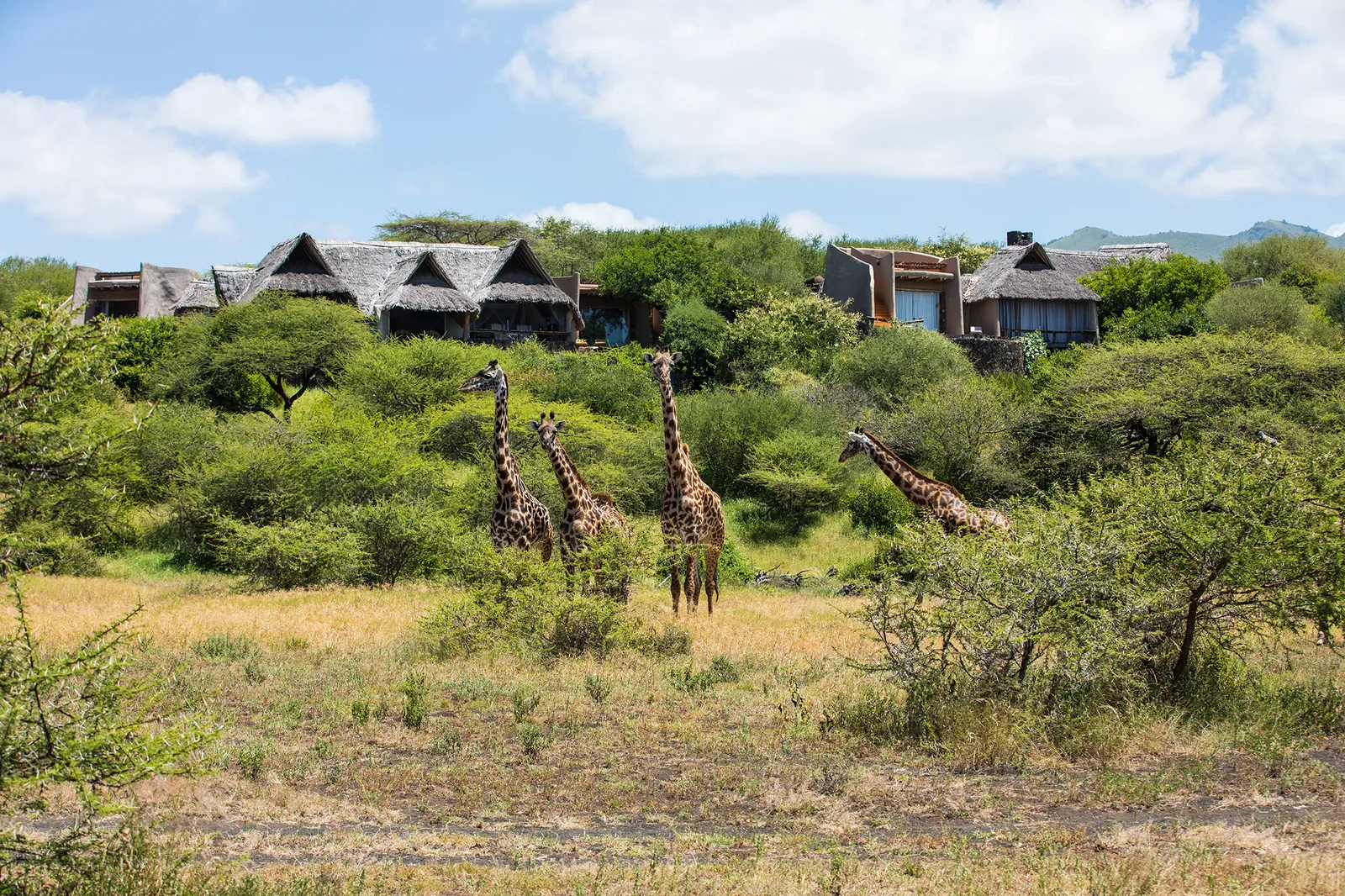 Ol Donyo Lodge, Taita-Taveta