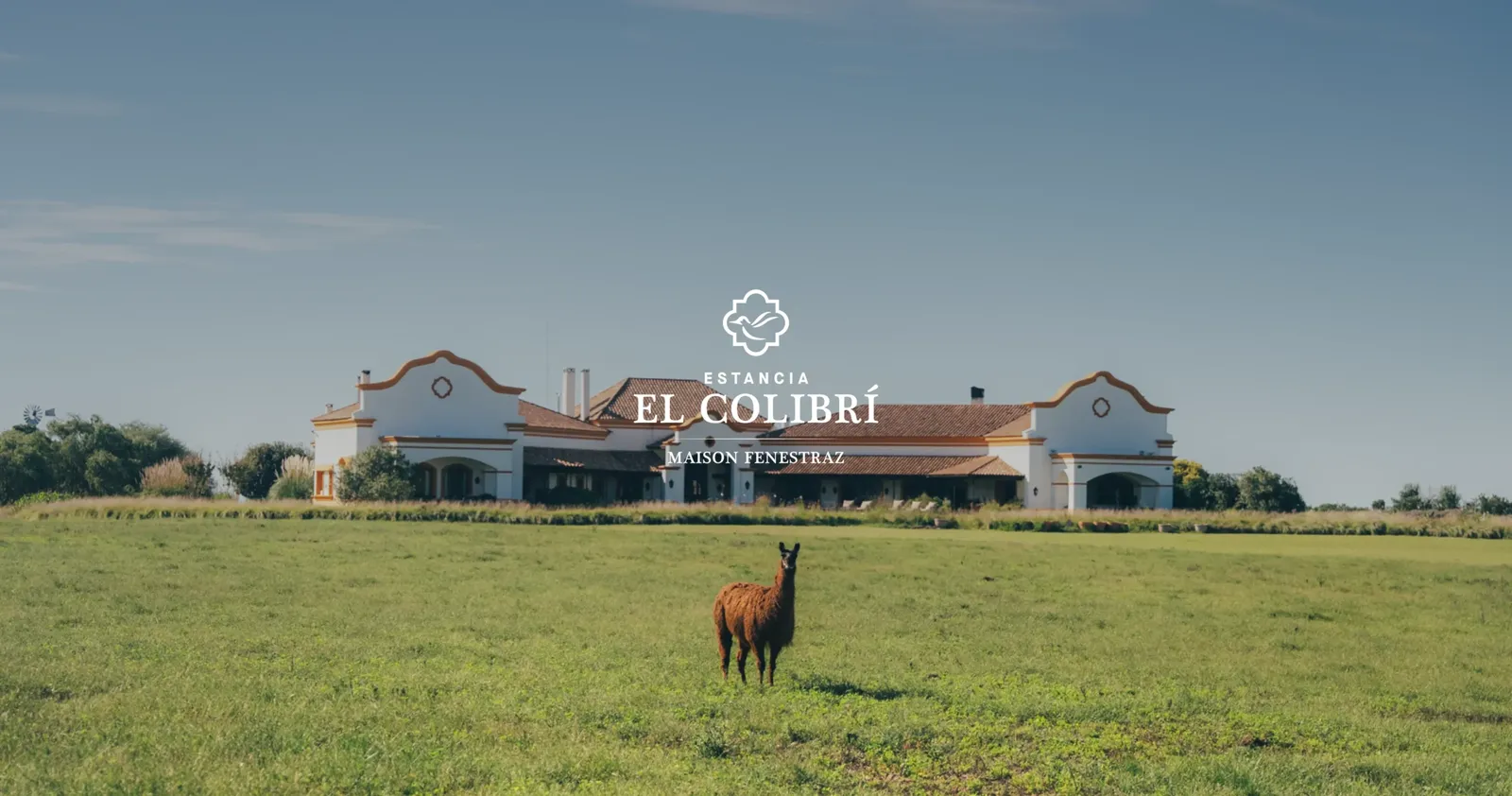 El Colibri, Oaxaca