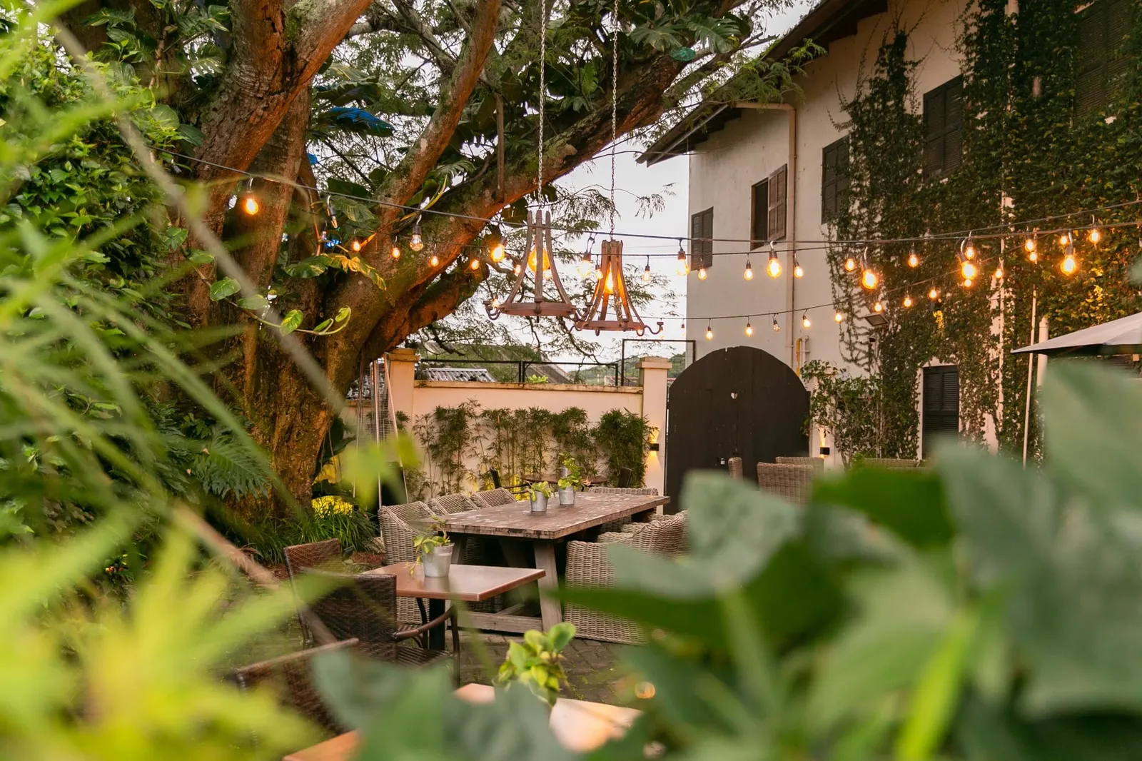 Alta Las Palomas, San José del Cabo
