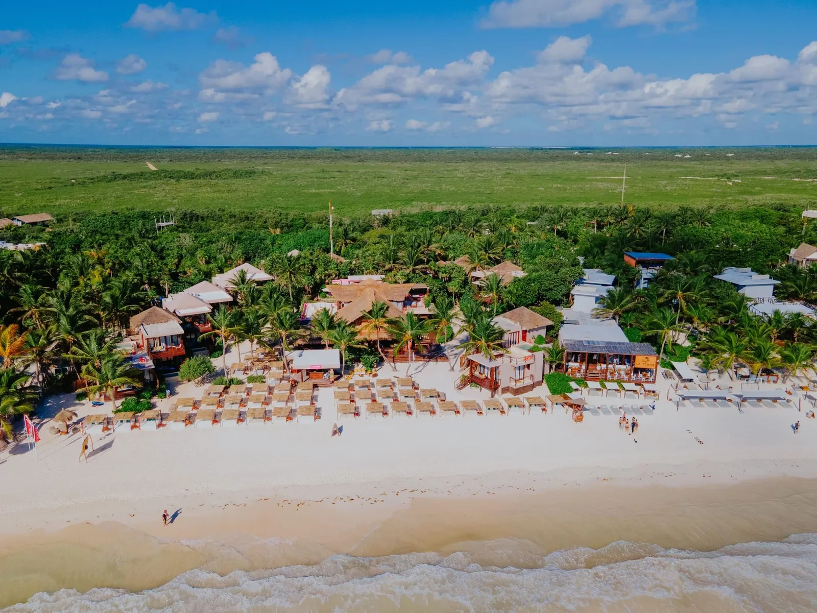 La Zebra, Tulum