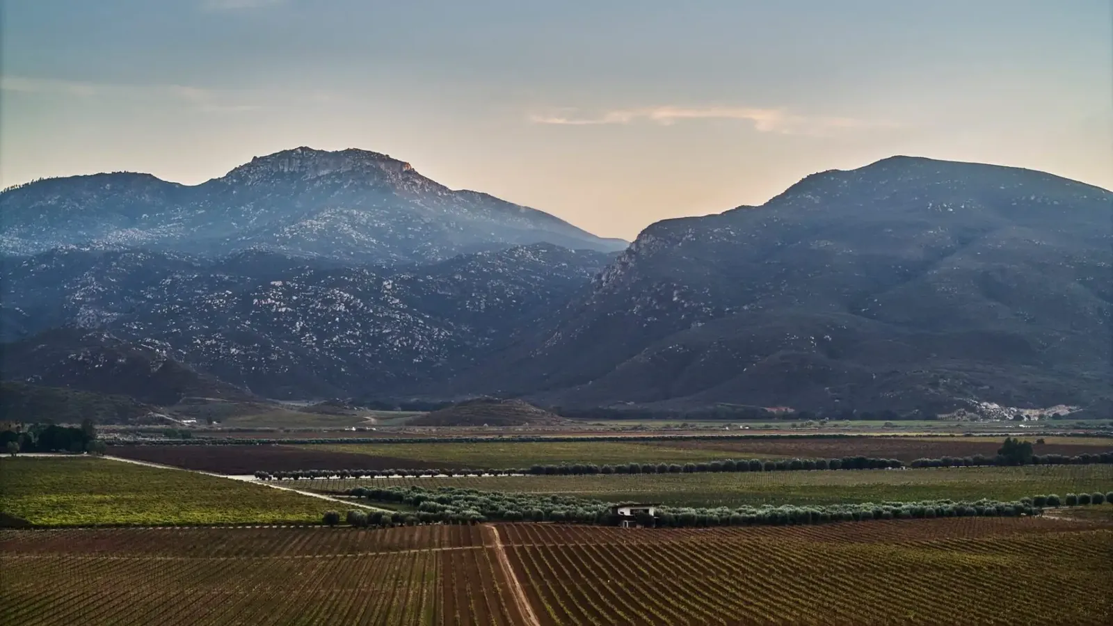 Montage Valle de Guadalupe, Valle de Guadalupe