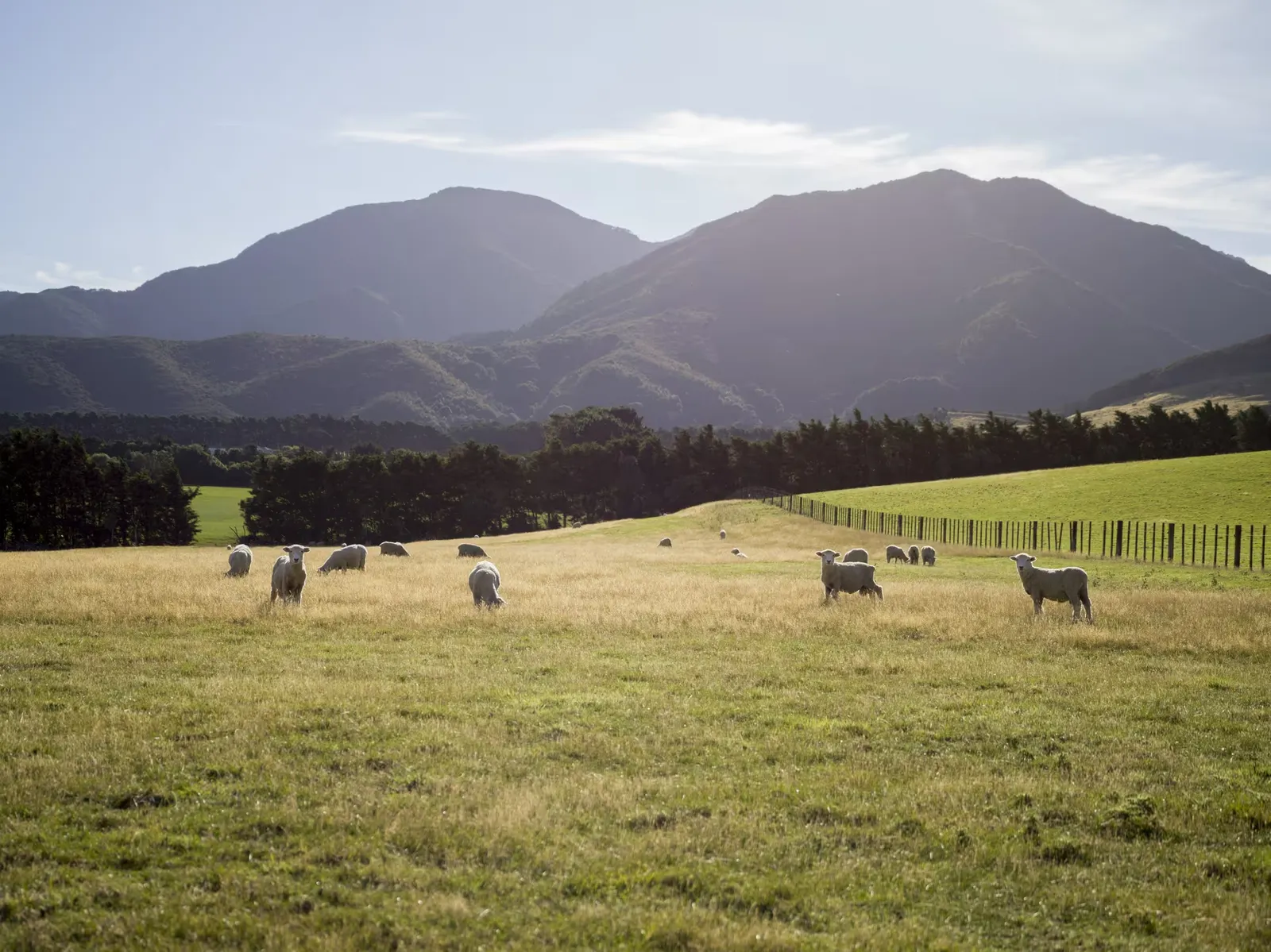 Wharekauhau Country Estate, Martinborough