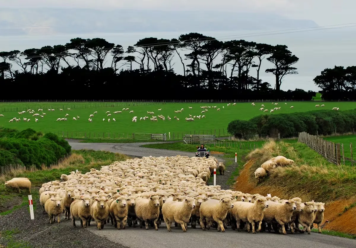 Wharekauhau Country Estate, Martinborough