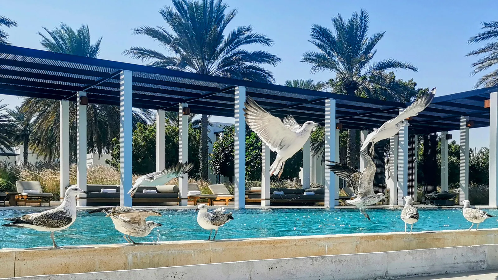 The Chedi Muscat — Exterior, Muscat