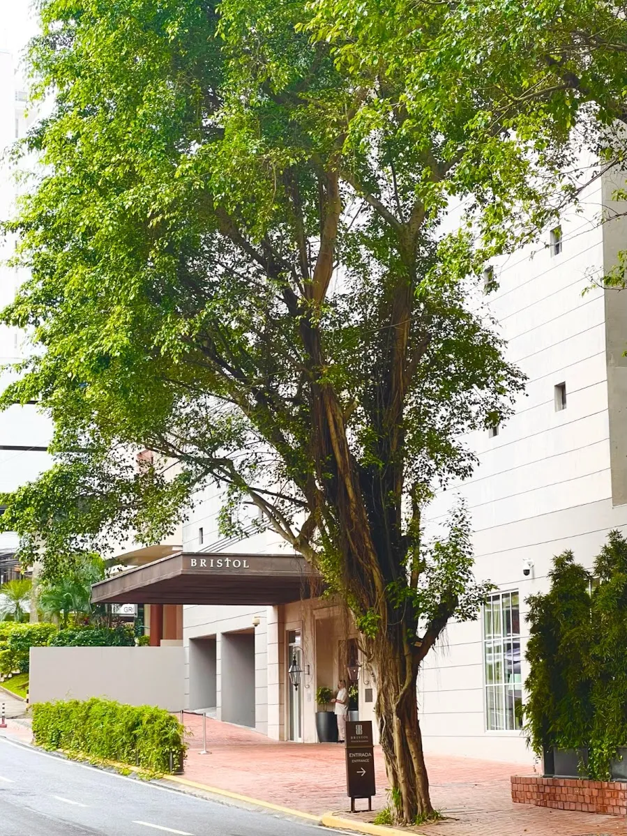 Bristol Panama — Exterior, Panamá
