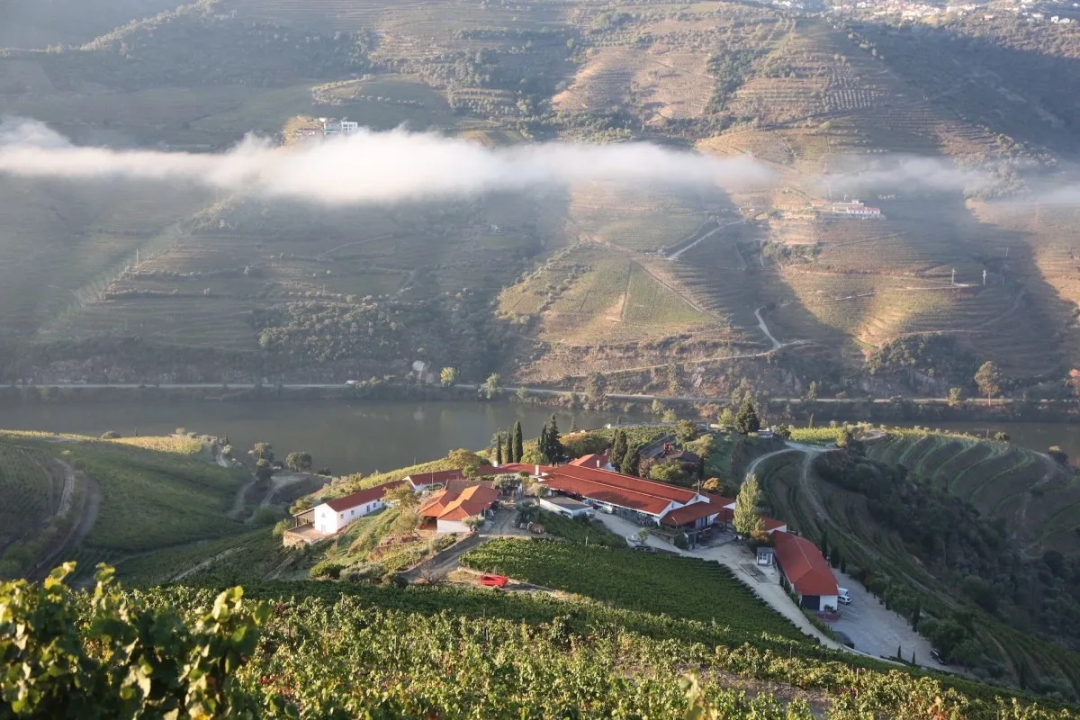 Quinta Nova Winery House, Pinhão