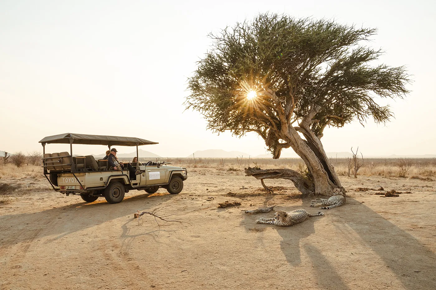 Last Word Madikwe, Madikwe, North-West