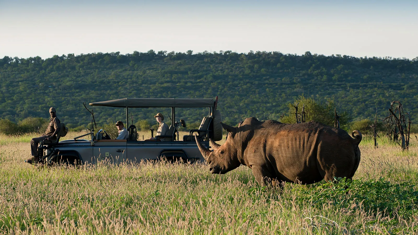 Morukuru Family Madikwe, Madikwe Game Reserve