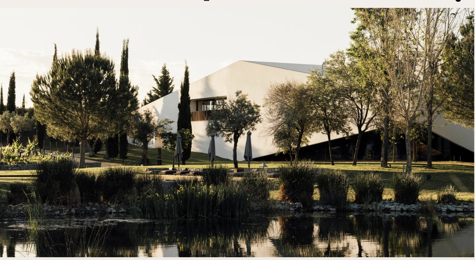 Land Vineyards, Stellenbosch