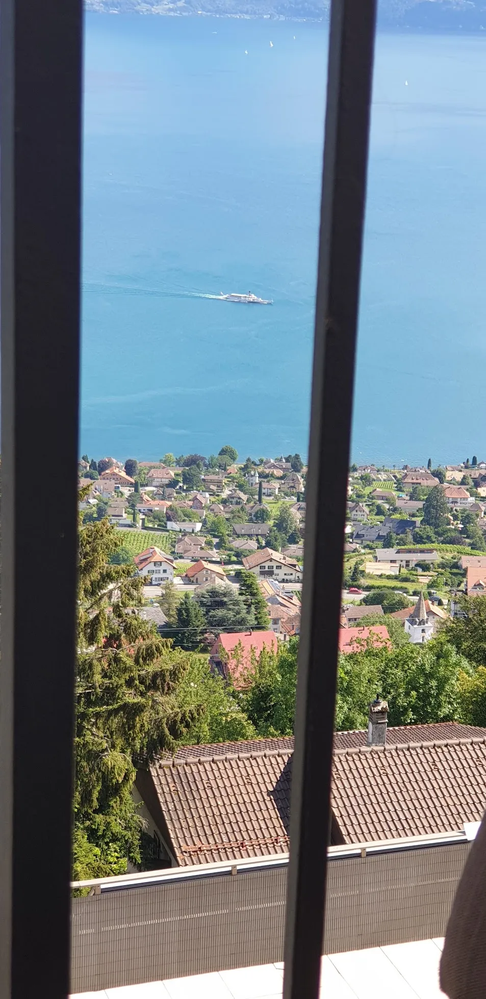 Le Mirador Resort and Spa — Exterior, Mont-Pèlerin