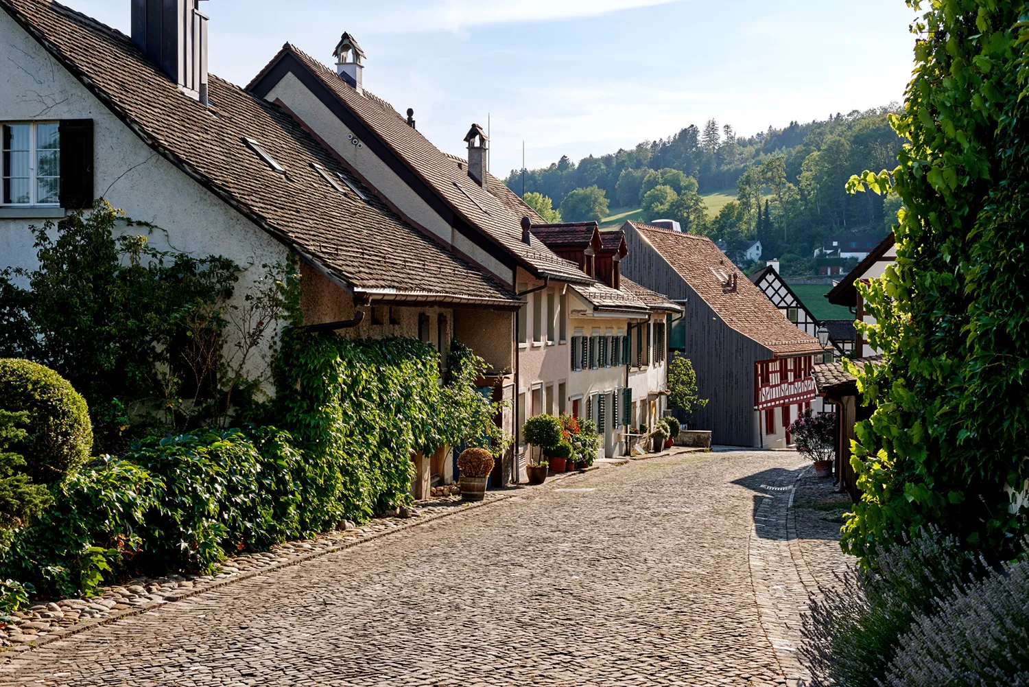 Hotel Restaurant Krone Regensberg, Regensberg